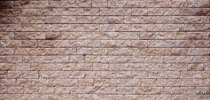 عکس صدف آمونیت - عکس نودی عکس صدف آمونیت - عکس نودی