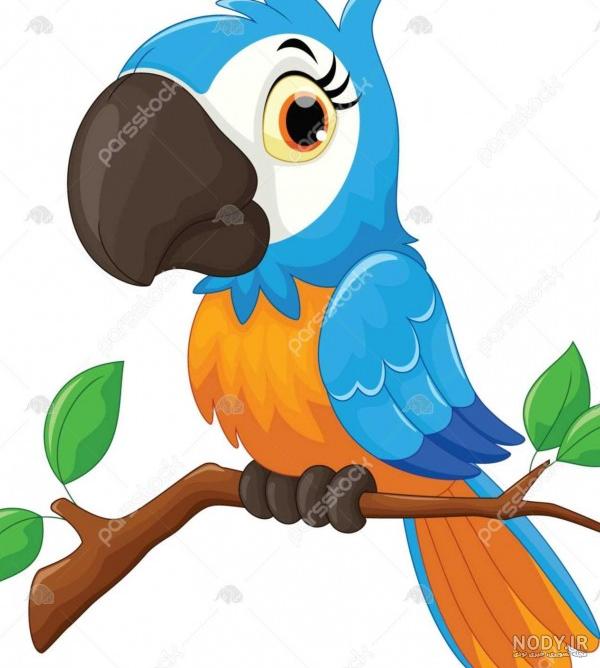 عکس طوطی برای نقاشی آسان عکس طوطی برای نقاشی آسان