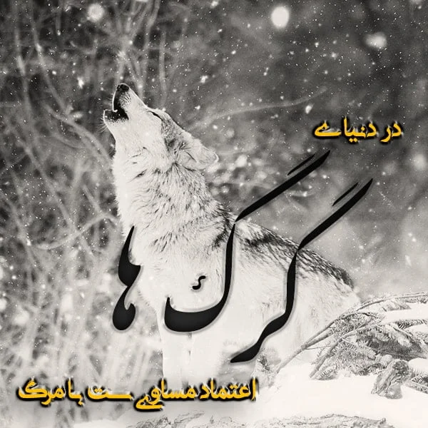 عکس پروفایل گرگ با نوشته های انگیزشی + متن های زیبا و انگیزشی عکس پروفایل گرگ با نوشته های انگیزشی + متن های زیبا و انگیزشی