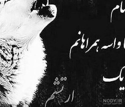 عکس پروفایل گرگ با نوشته های انگیزشی + متن های زیبا و انگیزشی عکس پروفایل گرگ با نوشته های انگیزشی + متن های زیبا و انگیزشی