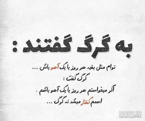 عکس پروفایل گرگ + عکس گرگ و ماه با متن عکس پروفایل گرگ + عکس گرگ و ماه با متن