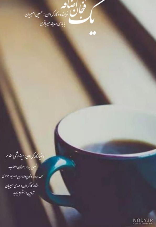مبینا هاشمی - بانی‌کستر