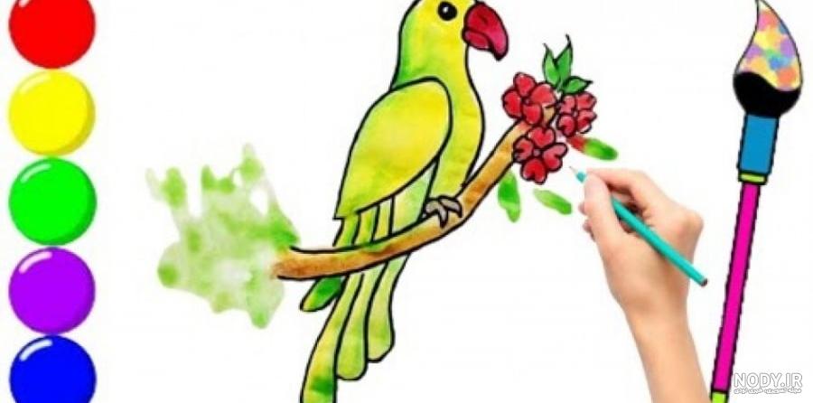 نقاشی ساده طوطی در قفس - عکس نودی نقاشی ساده طوطی در قفس - عکس نودی