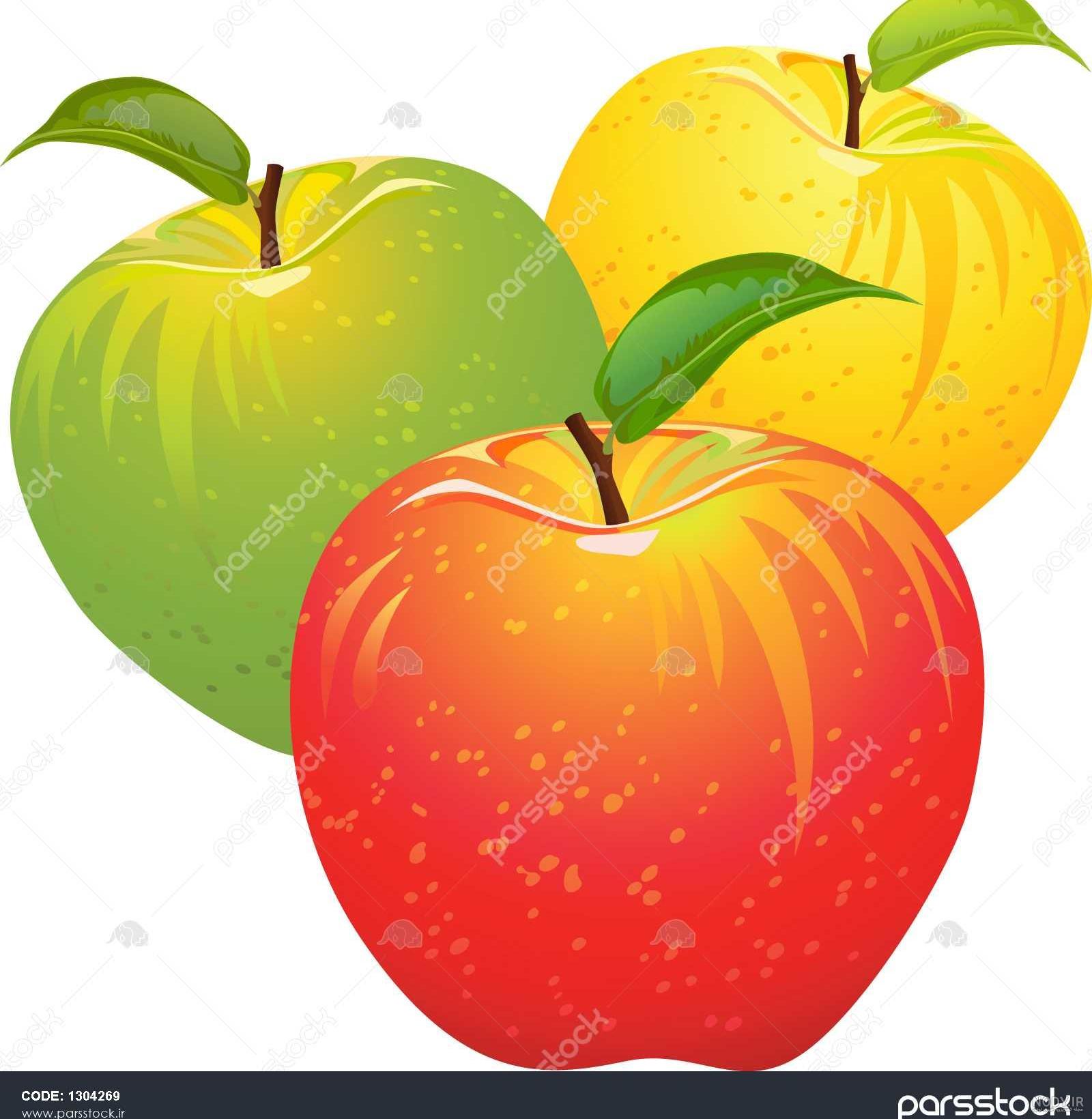 وکتور سیب🍎دانلود مجموعه وکتور سیب لایه باز