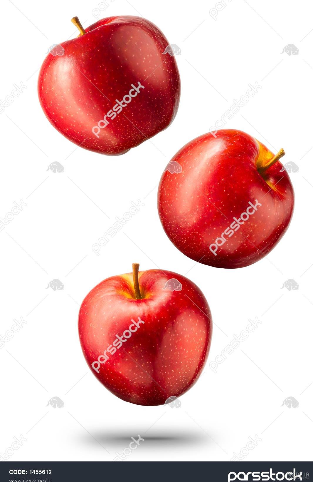 وکتور سیب🍎دانلود مجموعه وکتور سیب لایه باز
