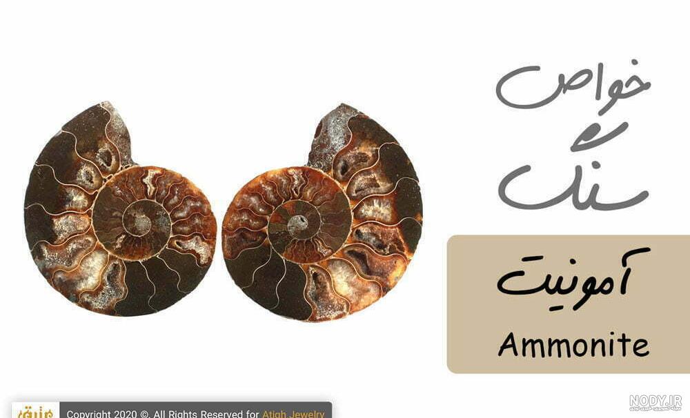 پس | اوپیک پس | اوپیک