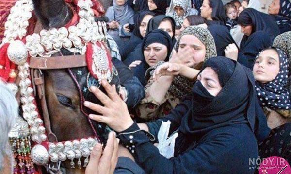 ذوالجناح امام حسین(ع) در پاکستان + عکس ذوالجناح امام حسین(ع) در پاکستان + عکس