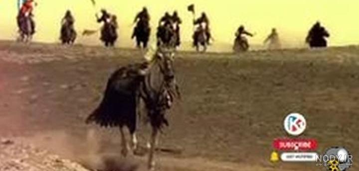 ذوالجناح امام حسین(ع) در پاکستان + عکس ذوالجناح امام حسین(ع) در پاکستان + عکس