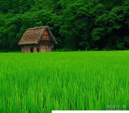 زیباترین عکس های شمال ایران {100 منظره زیبای شمال} | ایده آل مگ