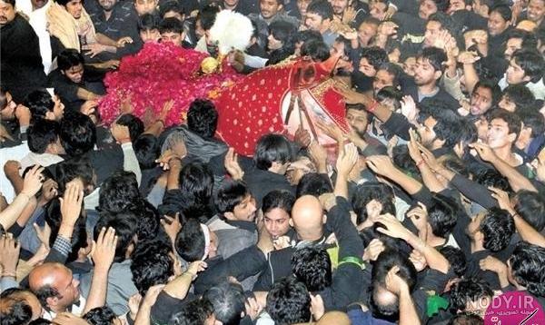 سرنوشت ذوالجناح اسب با وفاي امام حسین (ع) چه شد؟ سرنوشت ذوالجناح اسب با وفاي امام حسین (ع) چه شد؟