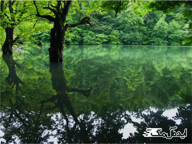 عکس از طبیعت شمال ایران