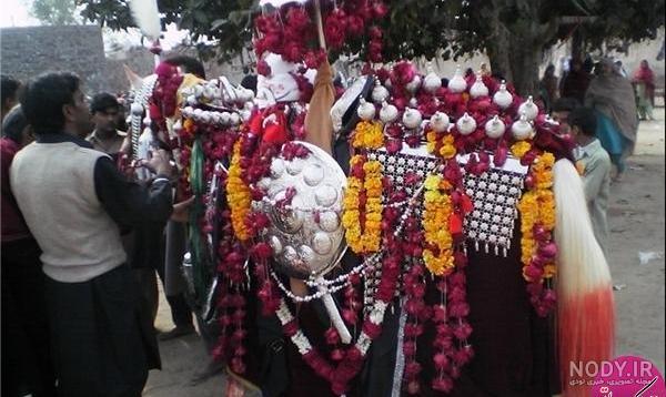 عکس اسب امام حسین ذوالجناح - عکس نودی عکس اسب امام حسین ذوالجناح - عکس نودی