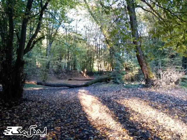 عکس های زیبا از شمال ایران