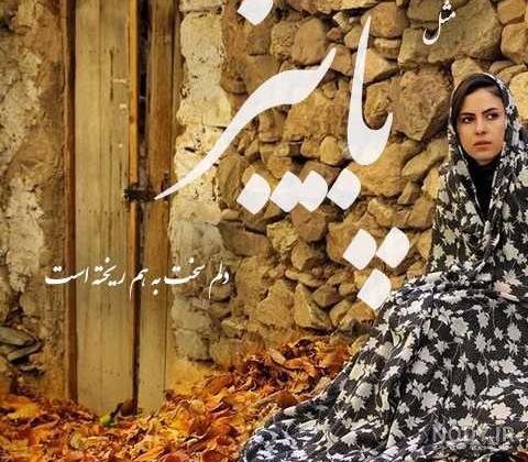 عکس عاشقانه پاییزی بارانی