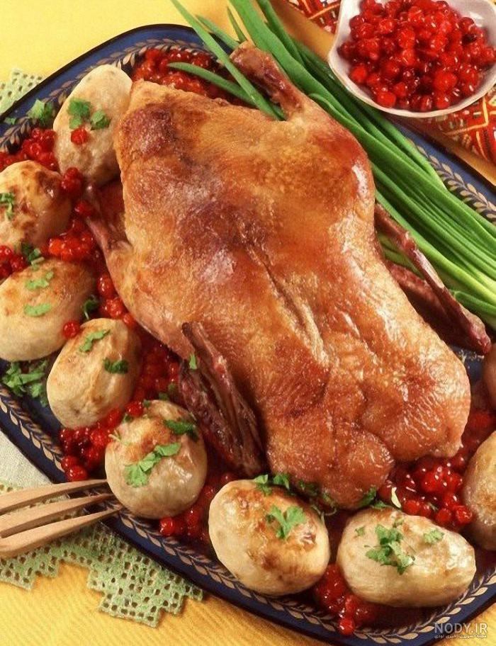 عکس غذا ناهار