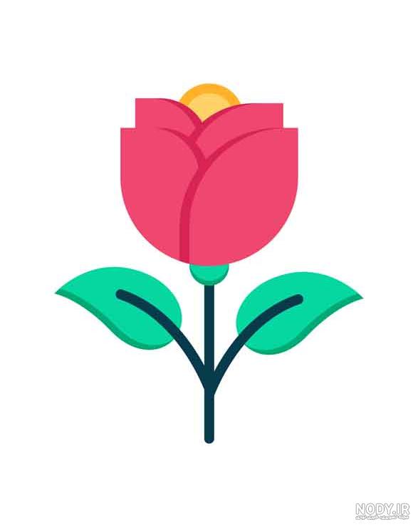 عکس گل در ظرف