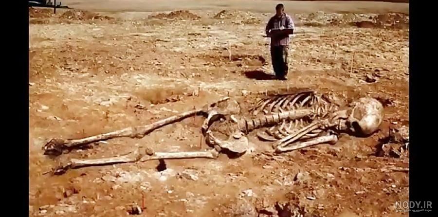 بزرگترین اسکلت های دنیا بزرگترین اسکلت های دنیا