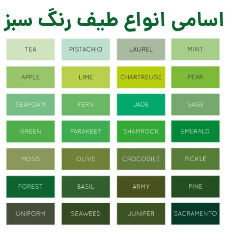 به مانتو سبز چه رنگ شالی میاد؟ ( معرفی ست‌های جذاب با مانتوی سبز ...