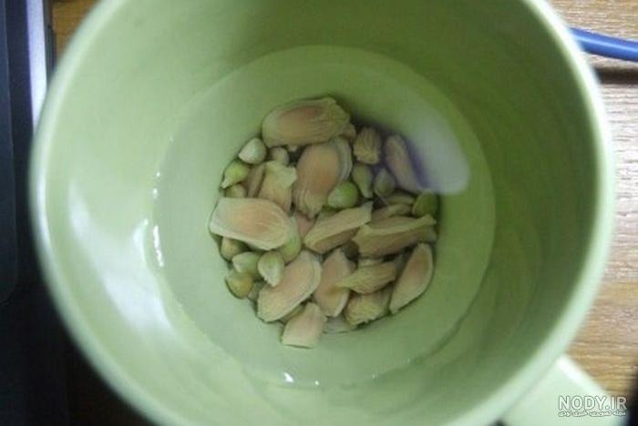 صفر تا صد کاشت سبزه عید نوروز با هسته پرتقال