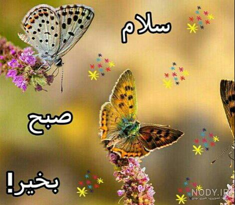 عکس صبح بخیر کودکانه عکس صبح بخیر کودکانه