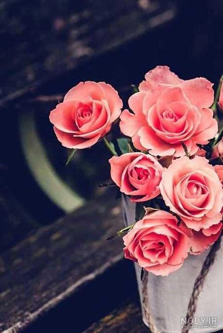 عکس فیک دسته گل - عکس نودی عکس فیک دسته گل - عکس نودی