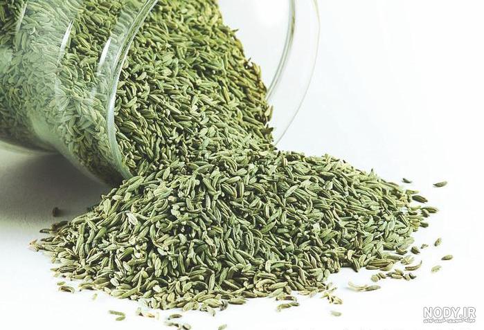 عکس هایی از رازیانه و خواص آن عکس هایی از رازیانه و خواص آن
