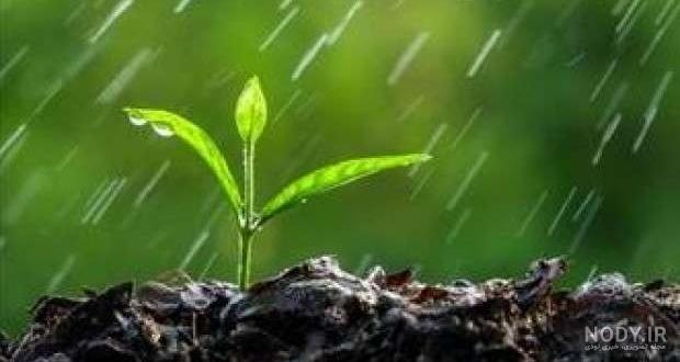عکس های هوای بارانی برای پروفایل [دخترونه و پسرانه]
