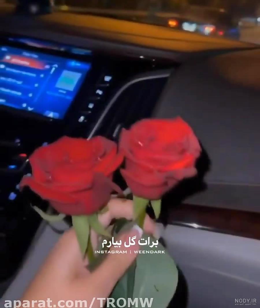 عکس ویژه استوری گل های زیبا به صورت قلب – 123گرافیک عکس ویژه استوری گل های زیبا به صورت قلب – 123گرافیک