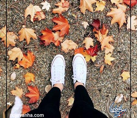 عکس پاییزی | 120 عکس پروفایل بدون متن زیبا و دل انگیز پاییز - دلبرانه