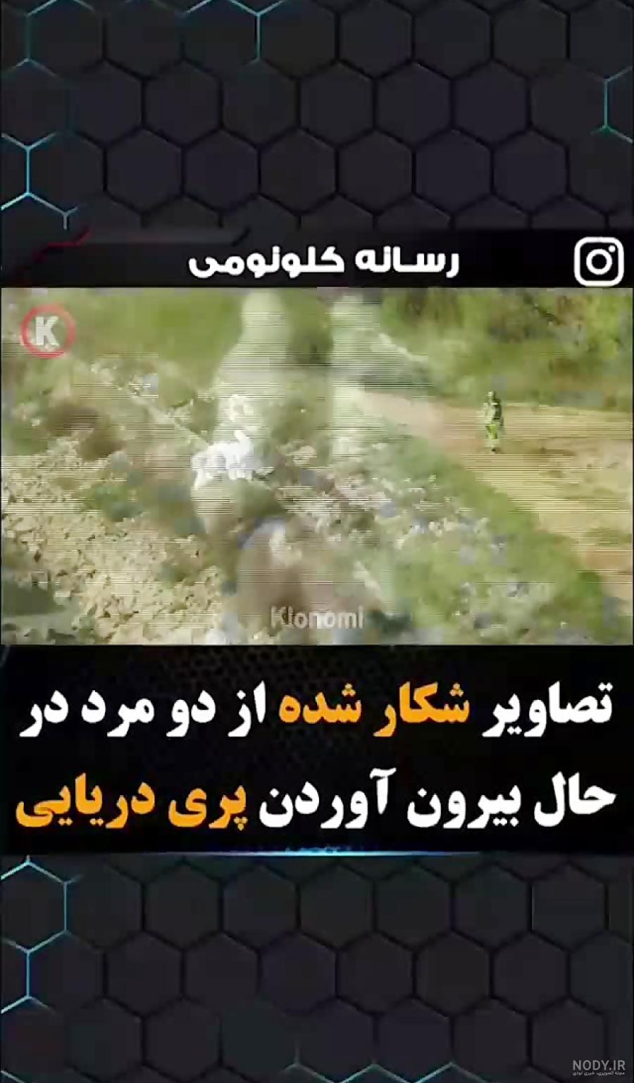 عکس پری دریایی زنده