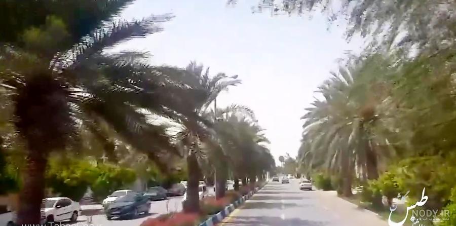 فرارو | (۱۶+) تصاویر هولناک و کمتر دیده شده از عملیات طبس فرارو | (۱۶+) تصاویر هولناک و کمتر دیده شده از عملیات طبس