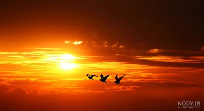عکس خفن عکس طلوع خورشید عاشقانه