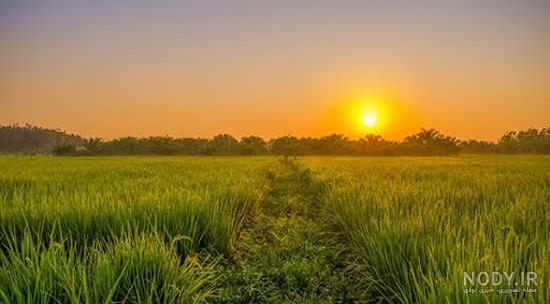 عکس خفن عکس طلوع خورشید عاشقانه