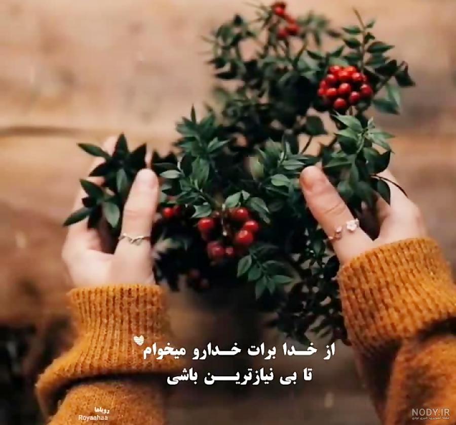 استوری خدا استوری خدا