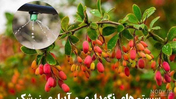 انواع بافت خاک و تعیین آن - دانش آب l آکادمی آموزش نرم افزار