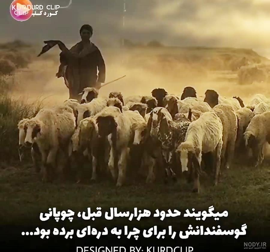 جاهای دیدنی مریوان | 20 جاذبه گردشگری، تاریخی و طبیعی جاهای دیدنی مریوان | 20 جاذبه گردشگری، تاریخی و طبیعی