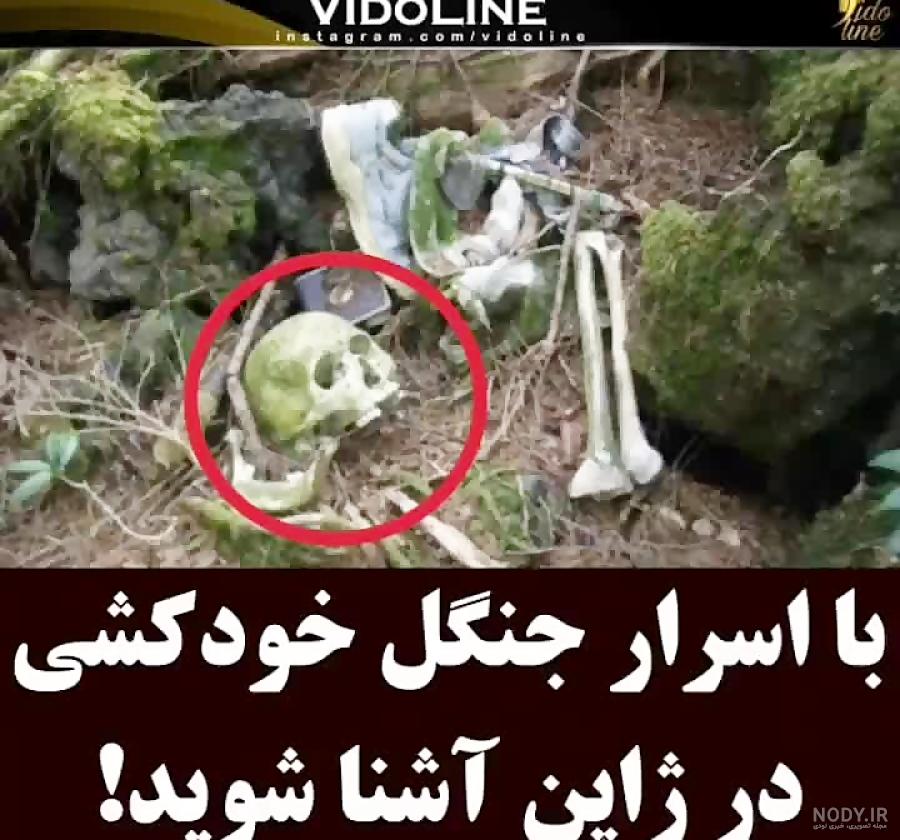 جن های وحشتناک و عجیب و واقعی رو در این ویدیو ببینید18 جن های وحشتناک و عجیب و واقعی رو در این ویدیو ببینید18