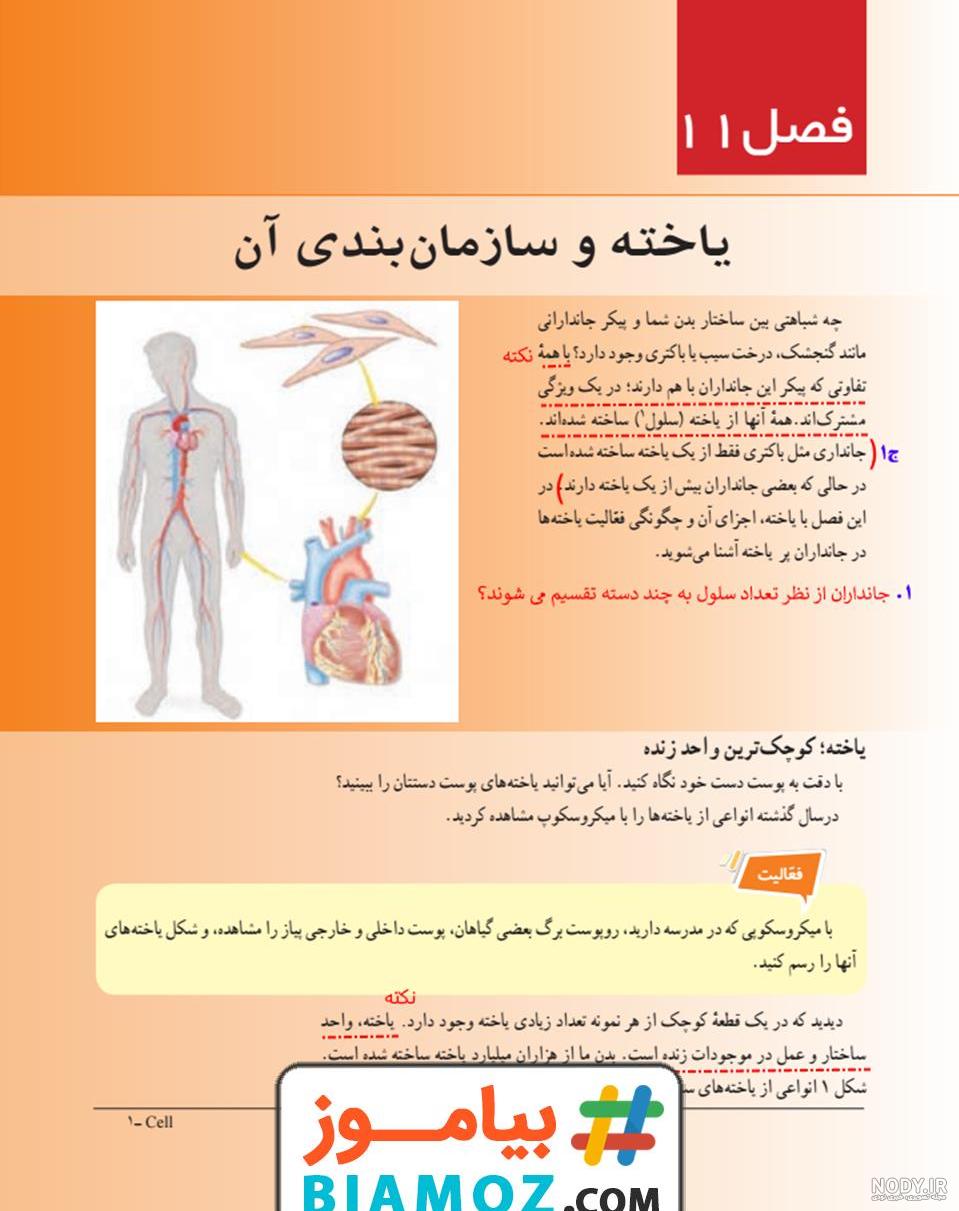 دانلود جزوه علوم هفتم - نمره برتر دانلود جزوه علوم هفتم - نمره برتر