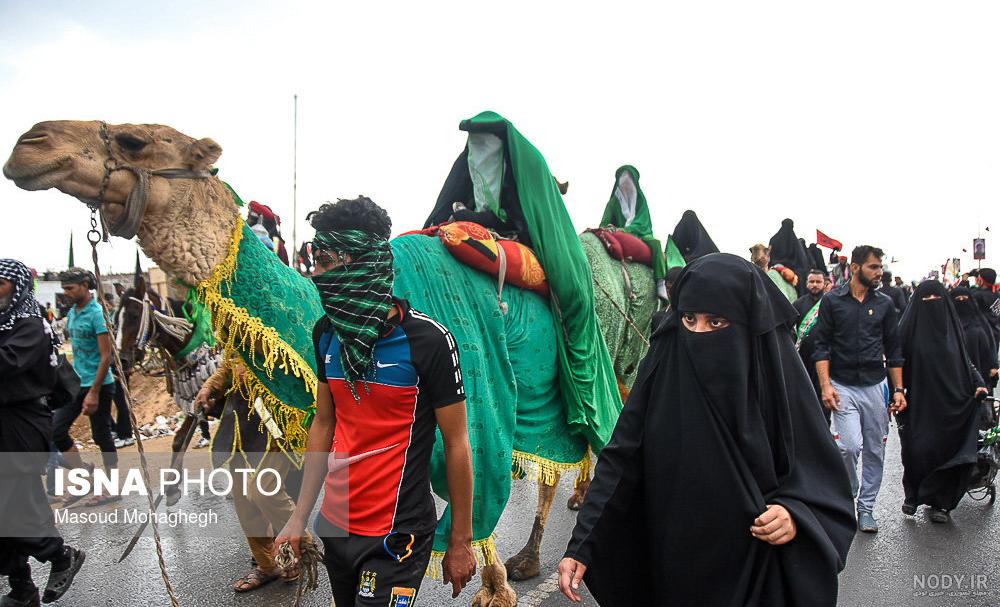 دانلود عکس پیاده روی کربلا