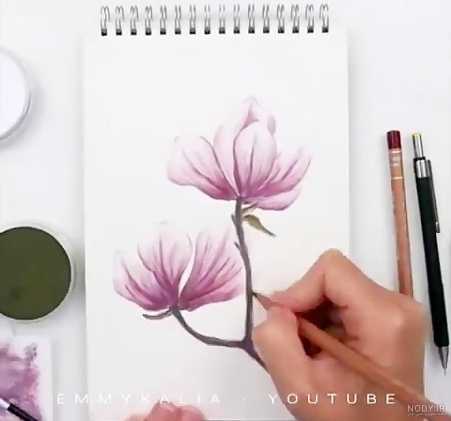 علوم فصل سوم شب و روز کلاس دوم سرکار خانم سپهر علوم فصل سوم شب و روز کلاس دوم سرکار خانم سپهر