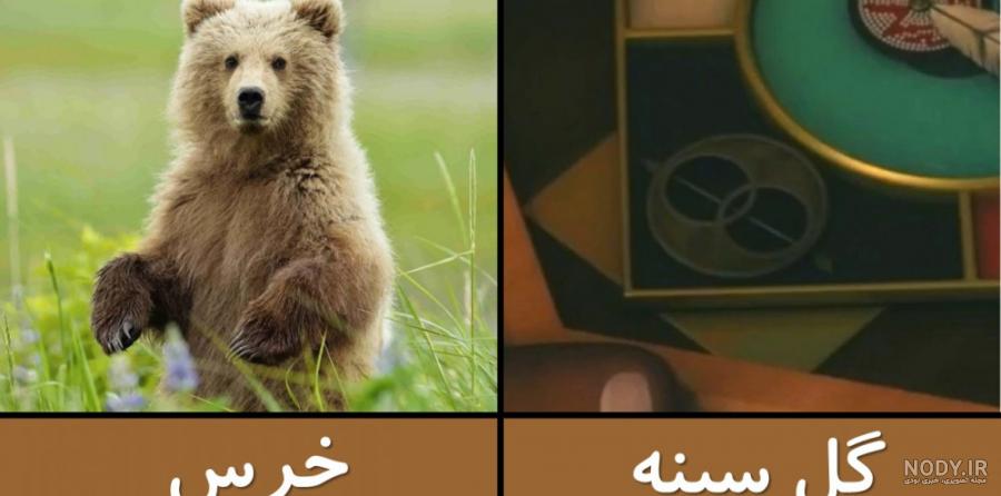 عکس تمام معجزه گر های دختر کفشدوزکی
