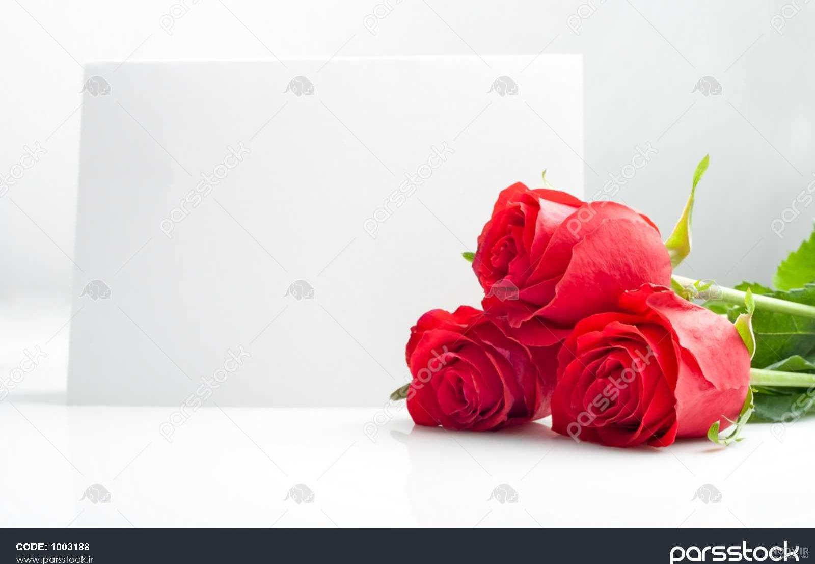 عکس زمینه سفید خالی