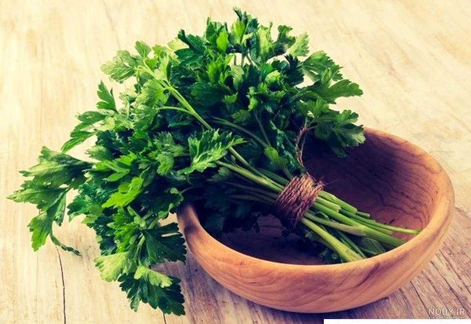 عکس شکوفه جعفری