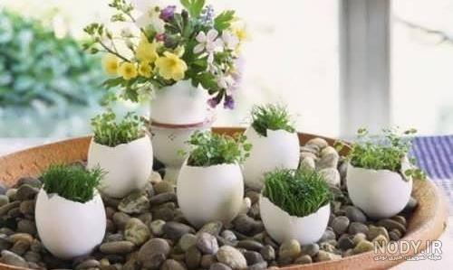 عکس طراحی سبزه عید - عکس نودی
