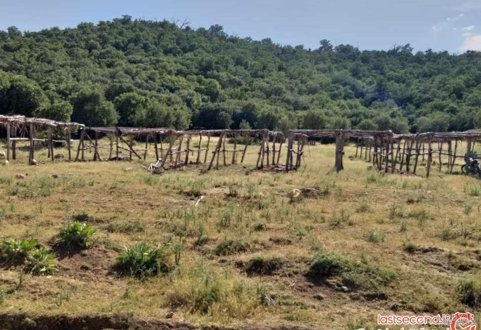 قرآن نگل، گنجینه ای نورانی در کردستان قرآن نگل، گنجینه ای نورانی در کردستان