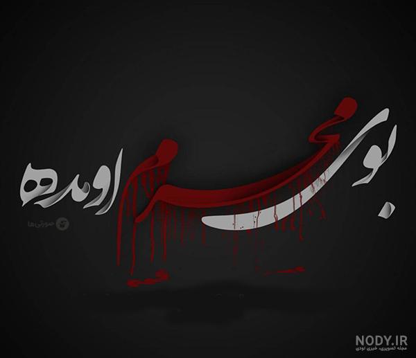 مجموعه 3 عکس محرمی با سایز برزگ