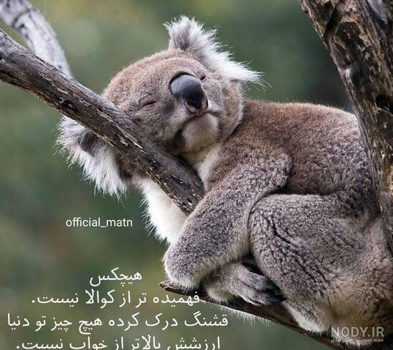 مجموعه عکس نوشته خنده دار برای استوری واتساپ (جدید)