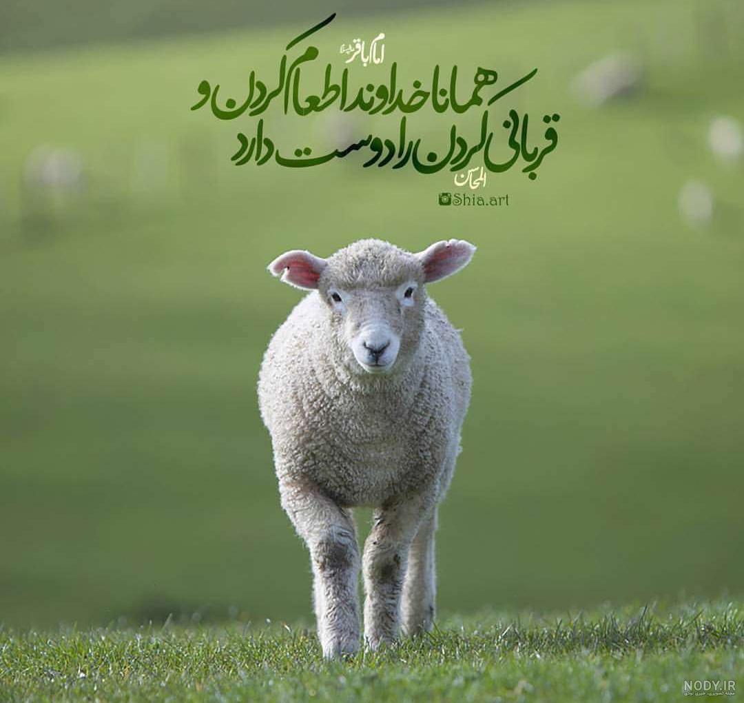 مرکز نیکوکاری امام حسین (ع)