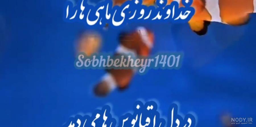 کلیپ در مورد خدا _ کلیپ خدا جدید _ کلیپ زیبا برای استوری کلیپ در مورد خدا _ کلیپ خدا جدید _ کلیپ زیبا برای استوری