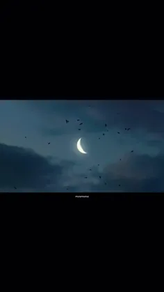 تیلور سویفت و بی تی اس - عکس ویسگون تیلور سویفت و بی تی اس - عکس ویسگون
